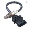 <b>:</b> JP591065<br/>
